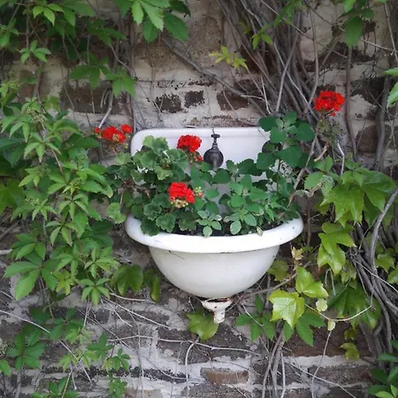 Babamuzeum Kis Feriehus *