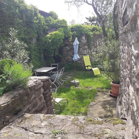 Babamuzeum Kis Nyaraló *