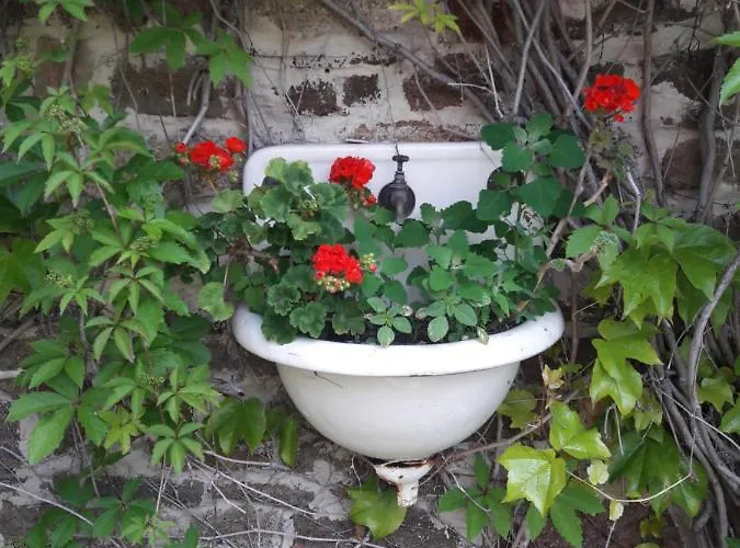 Babamuzeum Kis Dom wakacyjny *