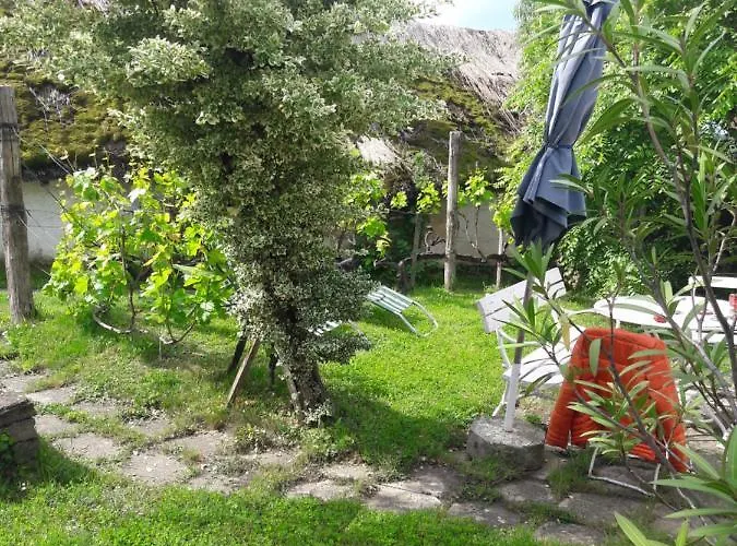 Babamuzeum Kis Tihany